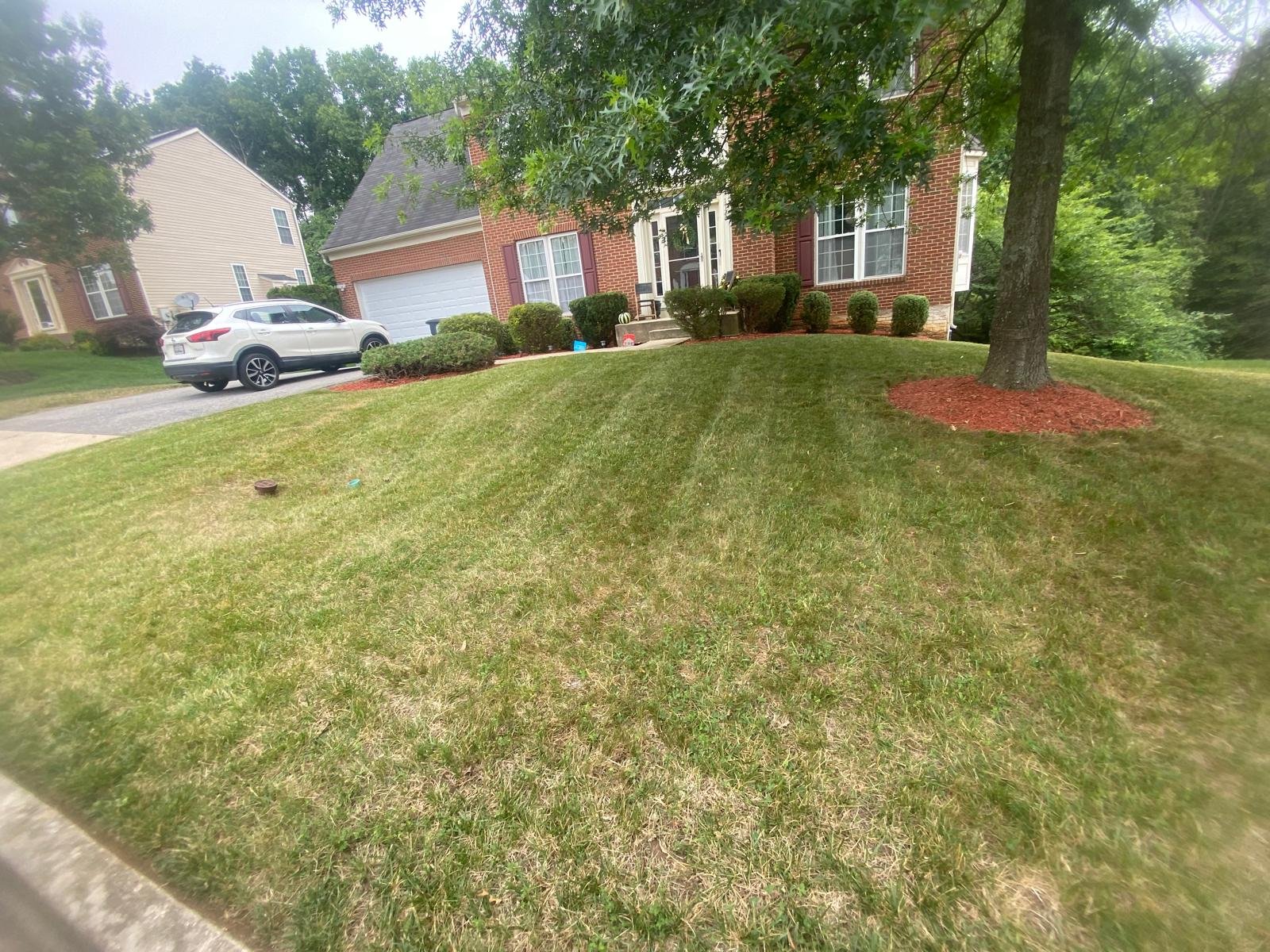 Residential outdoor maintenance